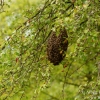 mg_1465
