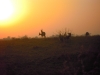 dscn0848