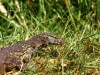 img_0847